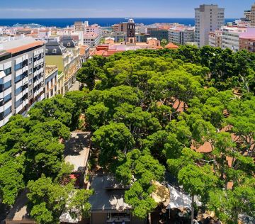 Santa Cruz de Tenerife